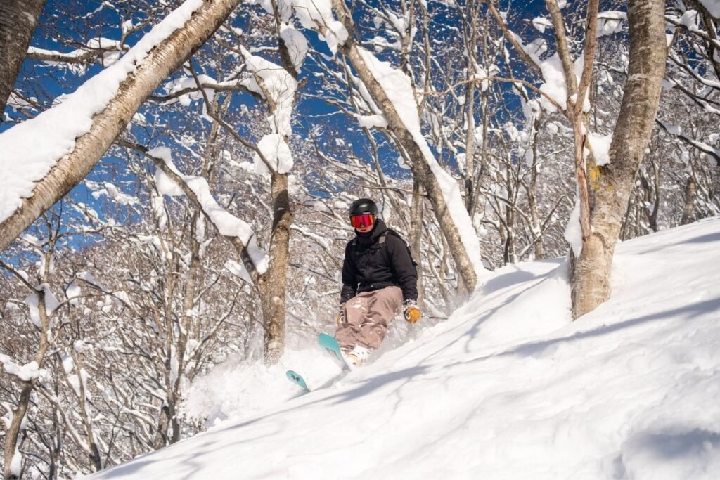 Professional athlete skiing through snowy trees in Japan, capturing winter adventure.
